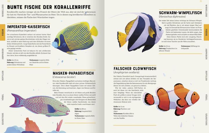 Produktbild Das grosse Lexikon der Tiere (Deutsch, Andreas Jäger, Jarom Vogel, Jules Howard, 2022)