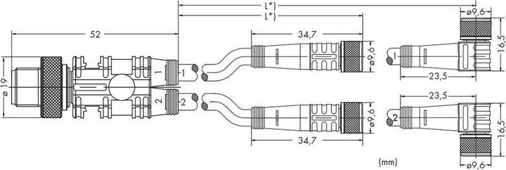Actual product image Wago 756-5514/040-010