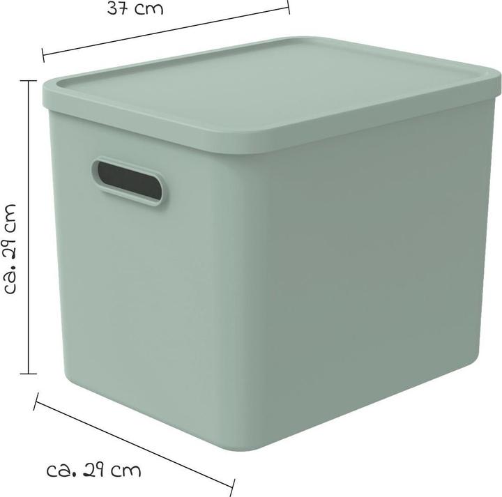 Image du produit Rotho Babydesign Spielzeugbox KAYO L Sage Green