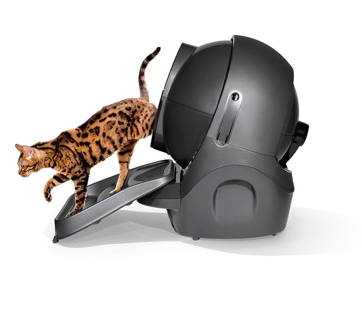 Actual product image Litter-Robot 3 Ramp, Black