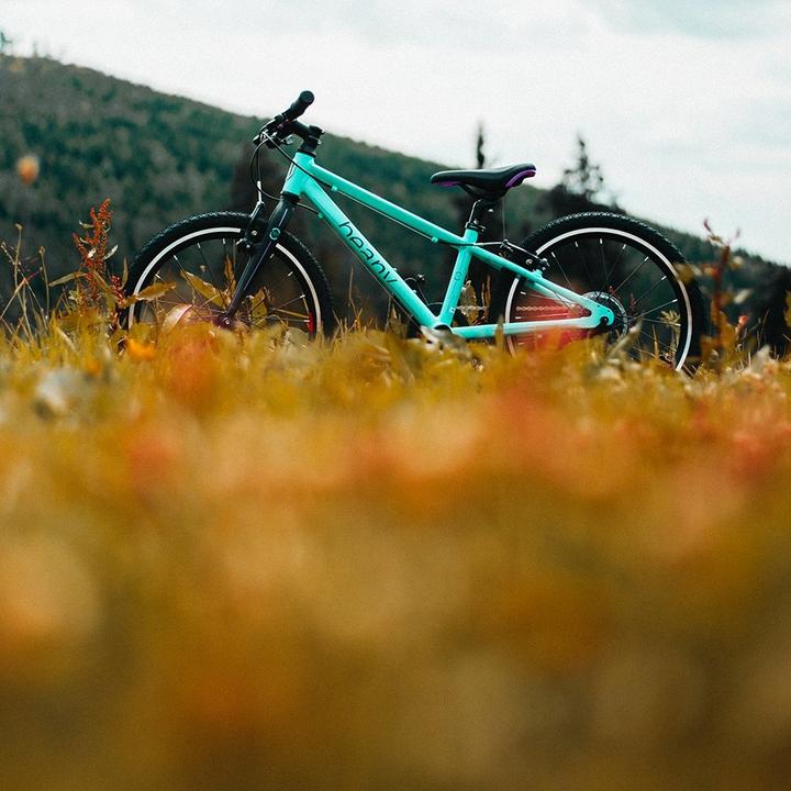 Productafbeelding Beany ZERO 20 fiets (10") Aluminium Mintkleur (20")