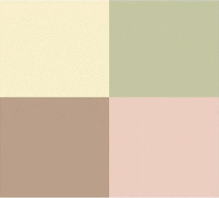 Produktbild Dr. Hauschka Colour Correcting Powder (00 Translucent)