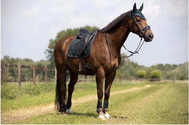 Produktbild BR Equestrian Equipment Event Cooldry