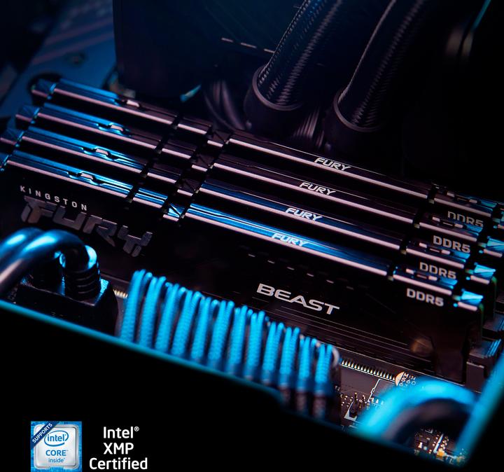 Productafbeelding Kingston FURY Beest (1 x 16GB, 5600 MHz, DDR5 RAM, DIMM 288 pin)