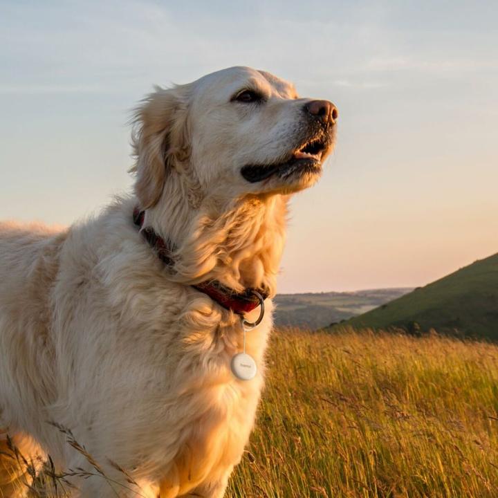 Actual product image Hama Mein Gerät finden (Android)