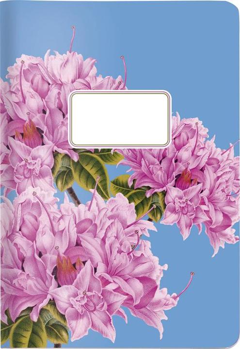 Actual product image Cedon Booklet A5 AZALEE (A5, Checked)