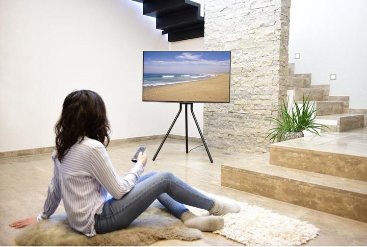 Image du produit Hama Support TV (75", 40 kg)