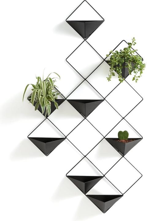 Image du produit La Redoute Interieurs Ikebana