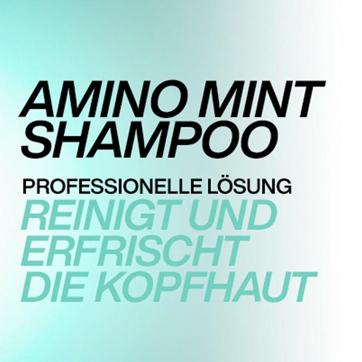 Produktbild Redken Amino Mint (300 ml, Flüssiges Shampoo)
