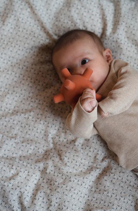 Actual product image Filibabba Motor ball - Baby sense ball rust