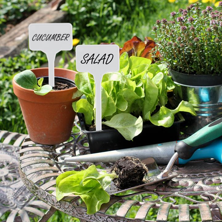 Productafbeelding Relaxdays Tekens van planten (0.20 cm, 5.50 cm)