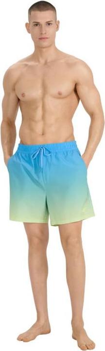 Image du produit 4F Herren-Badeshorts (M)
