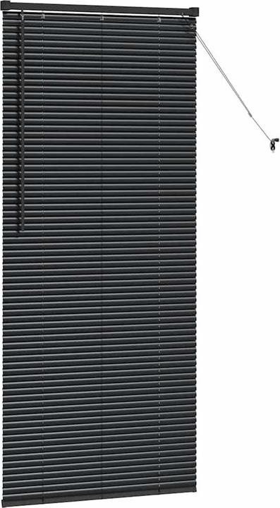 Immagine prodotto VidaXL Tende per finestre (80 x 175 cm)