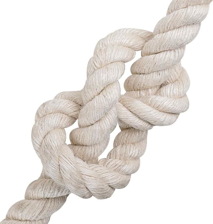 Image du produit vidaXL Natürliches Seil (50 m)