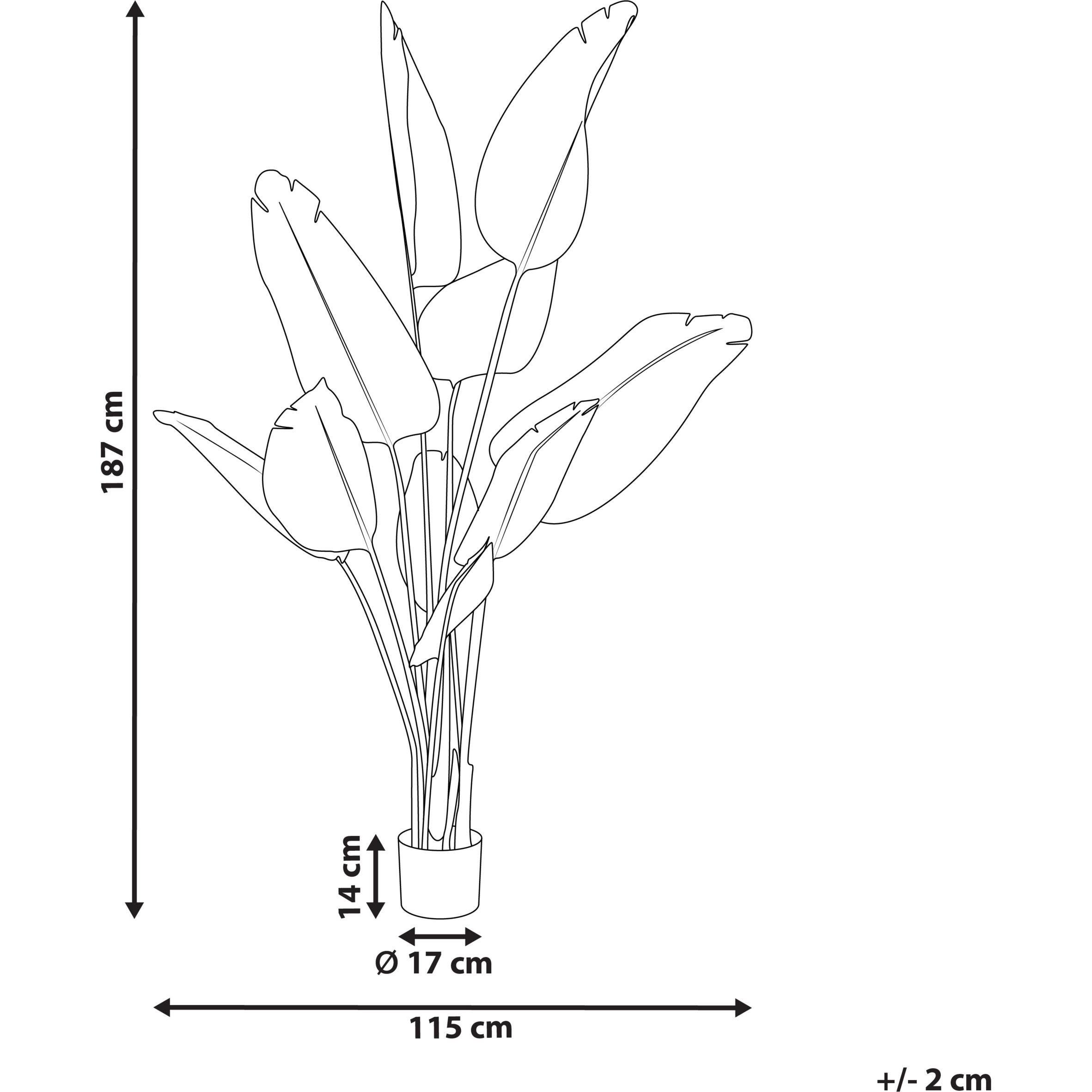 Thumbnail - Beliani, Kunstpflanzen, Banana Tree (187 cm)