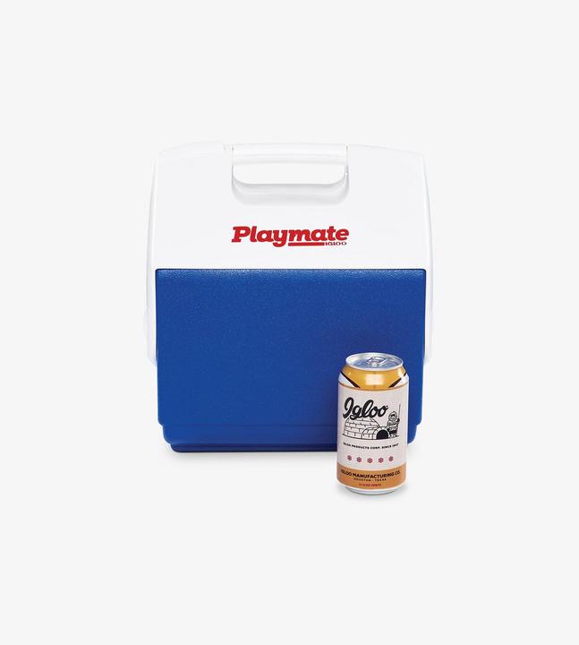 Actual product image Igloo small caregiver ice box (6 l)