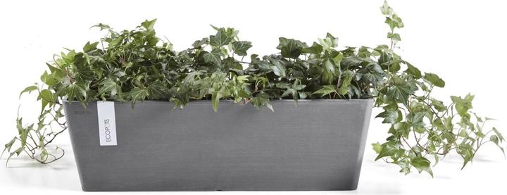 Produktbild Ecopots Bruges + Wasserbehälter (55.30 x 16.50 x 17.50 cm)