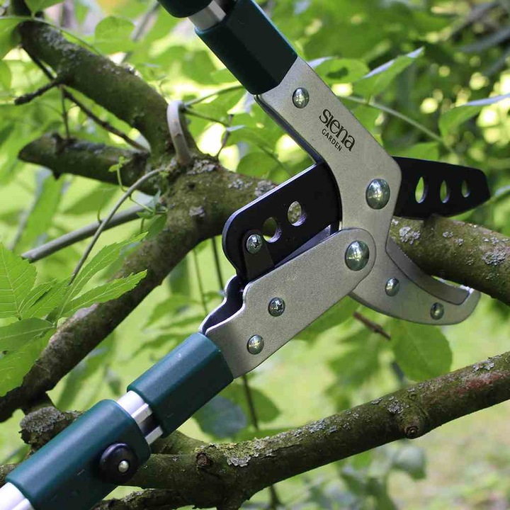Image du produit Siena Garden Sécateur à enclume Pro Alu