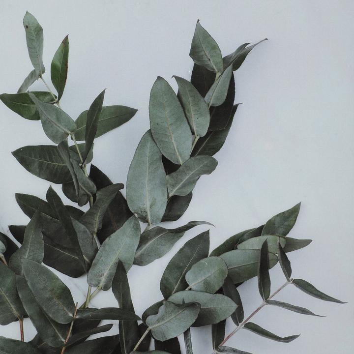 Immagine prodotto EGLO Renabie