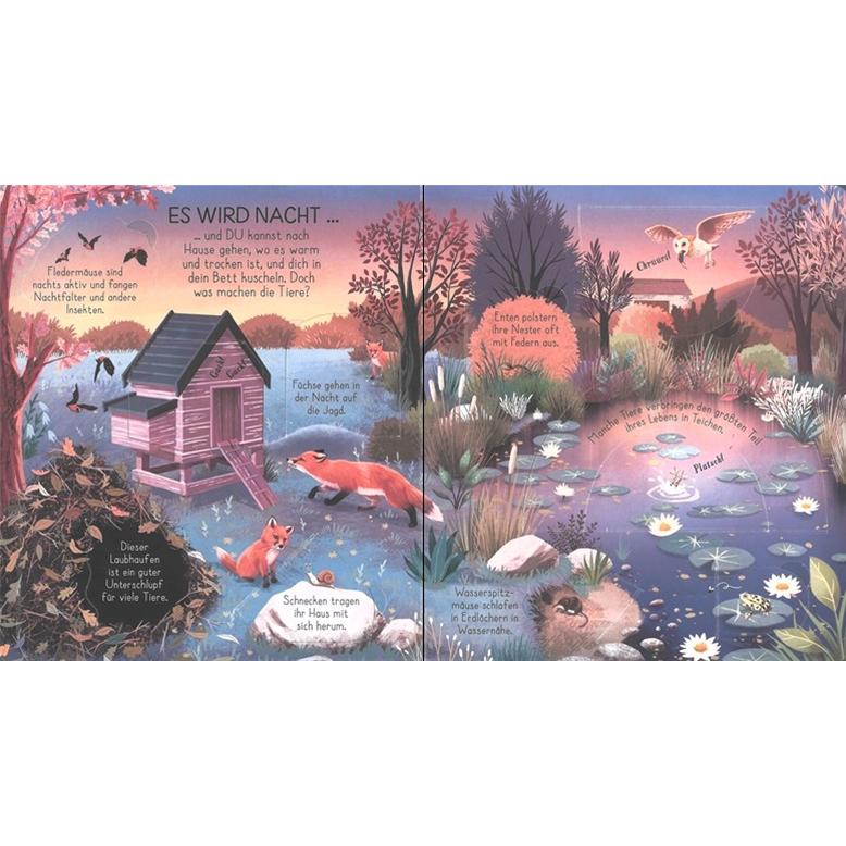 Thumbnail - Naturwissen aufgedeckt! Wie Tiere wohnen, Kinderbücher von Emily Bone