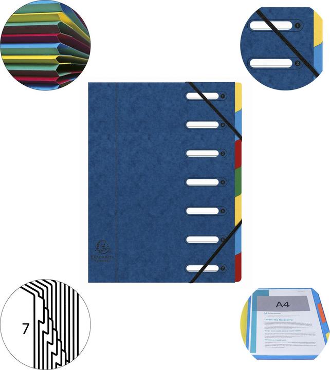 Actual product image Exacompta HARMONIKA - A4 file folders (A4, 1x)