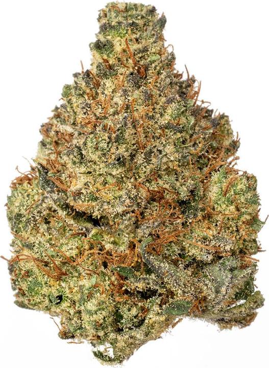 Actual product image Hi Lab Mini buds | Afghan Kush (25 g, Indoor)