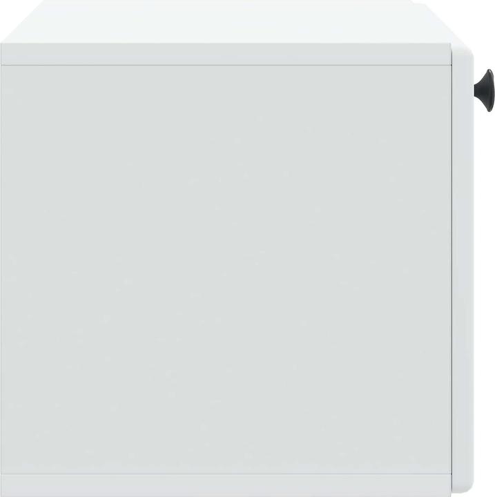 Produktbild vidaXL Wandschrank (31 x 59.50 x 30 cm)