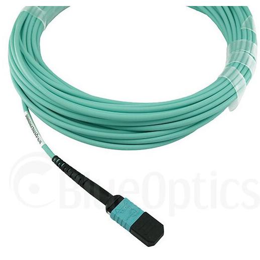 Thumbnail - BlueOptics Telesis AT-MTP12-15 kompatibles MTP-MTP OM3 Patchkabel 15 Meter (15 m), Netzwerkkabel