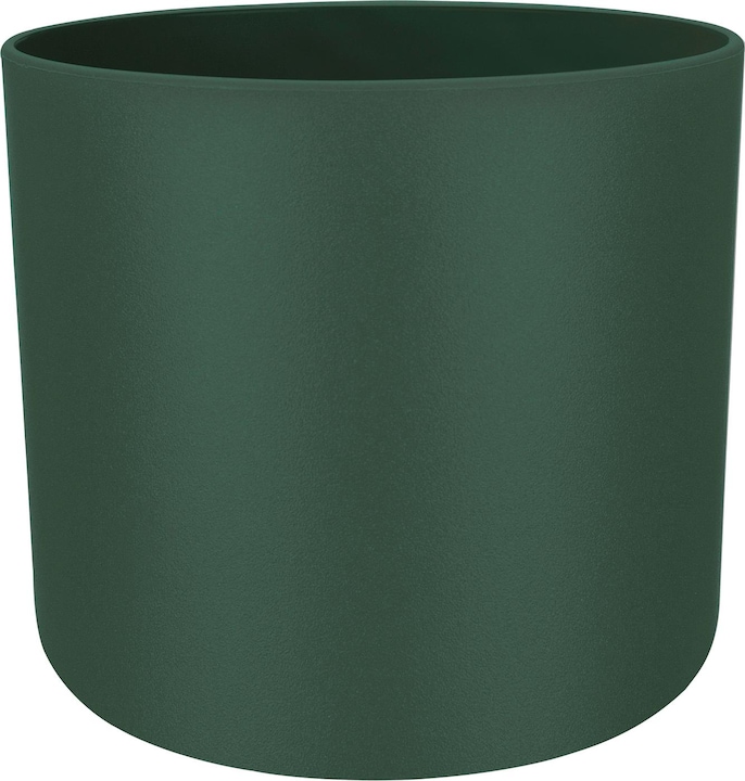 Leaf Green
