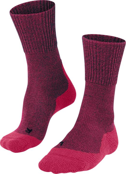 Falke Adventure (35 - 36)