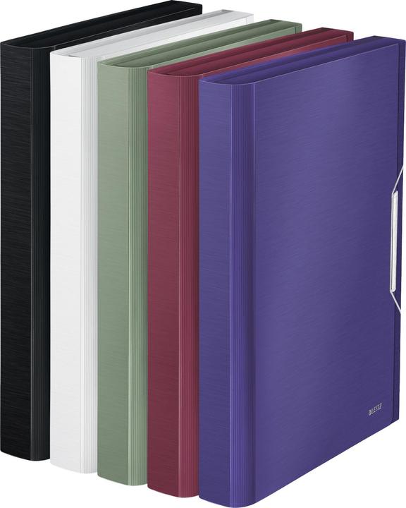Actual product image Leitz Folder Style PP (A4, 1x)