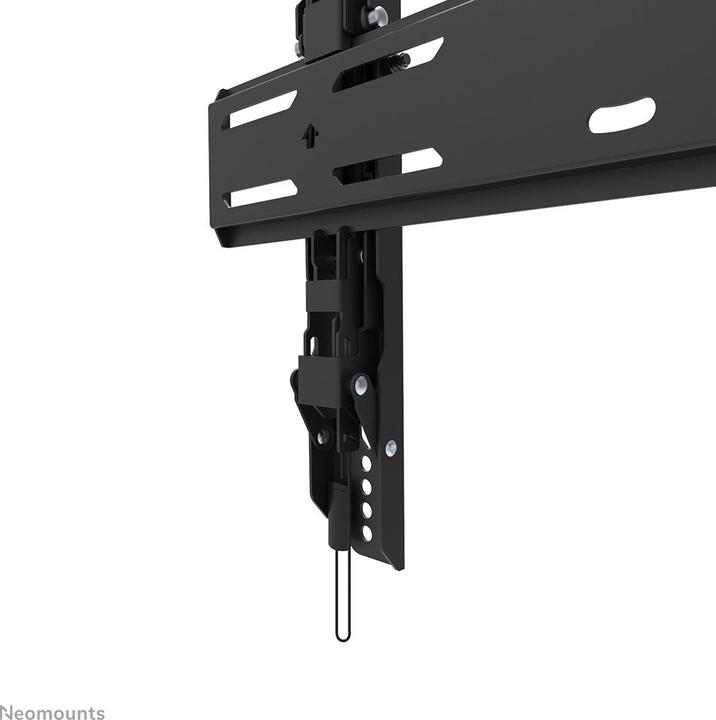 Image du produit Neomounts Support mural WL35S-850BL14 Noir (Mur, 48", 60 kg)