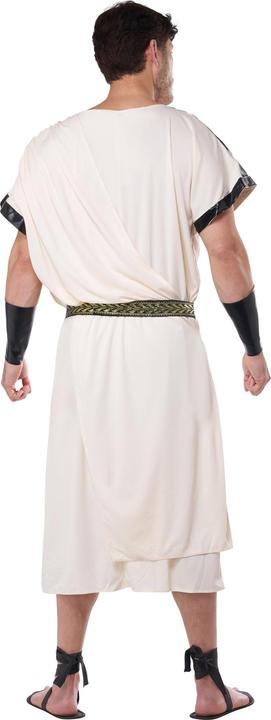 Actual product image Metamorph Antike Toga für Herren (M, L)