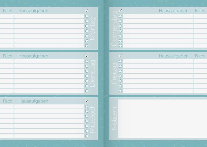 Actual product image Homework book "Boys" | A5, 48 sheets, multicoloured (A5)