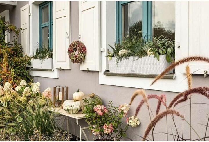 Actual product image Lechuza Balconera Cottage (19 cm)