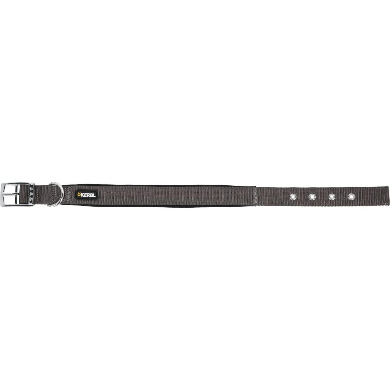 Kerbl Collier Miami Plus, Nylon, Rembourré, Largeur 20-38mm Tour de cou 33-61cm (Chien), Collier + laisse