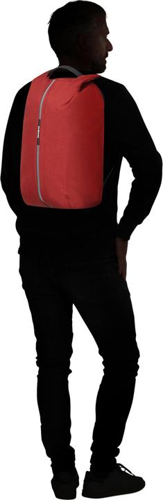 Productafbeelding Samsonite Securipak (15.60")