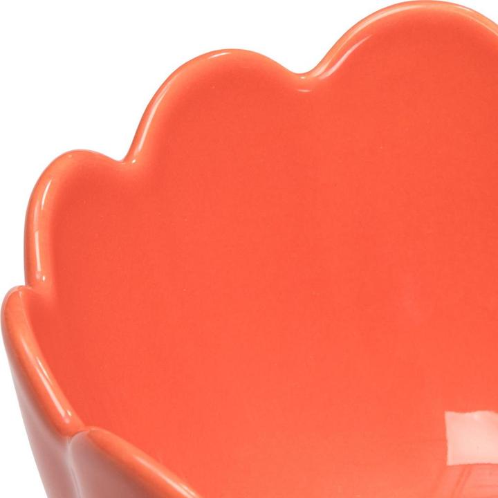Actual product image BYYU Scallop (13.50 cm)