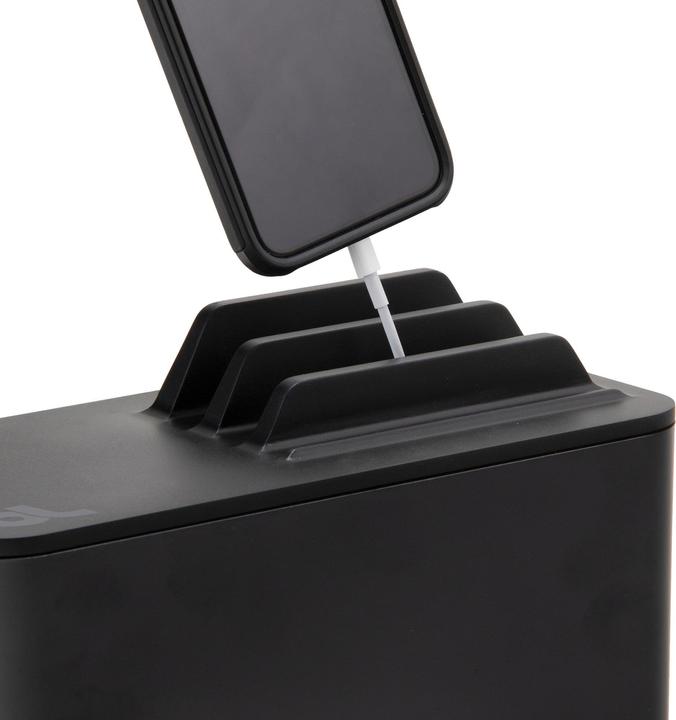 Actual product image BlueLounge Mini Station