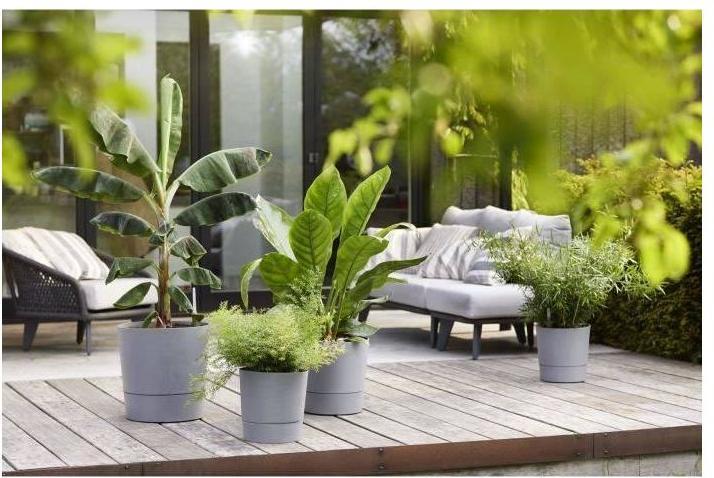 Actual product image Elho Blumenschale (30 cm)