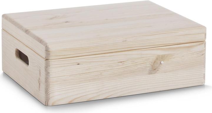 Image du produit Zeller Present Boîte polyvalente (40 x 30 x 14 cm, 17 l)