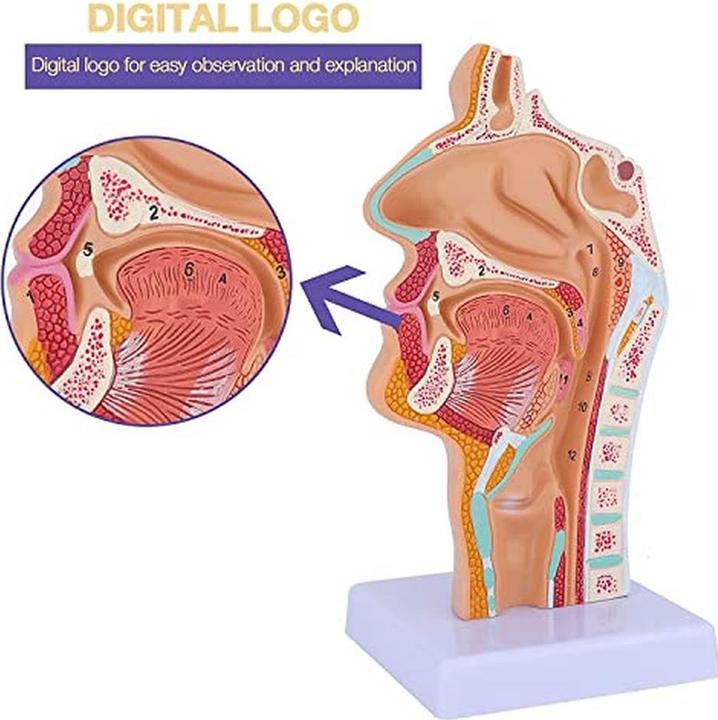 Produktbild Biostar H510MHP 2.0 (LGA 1200, Intel H510, mATX)