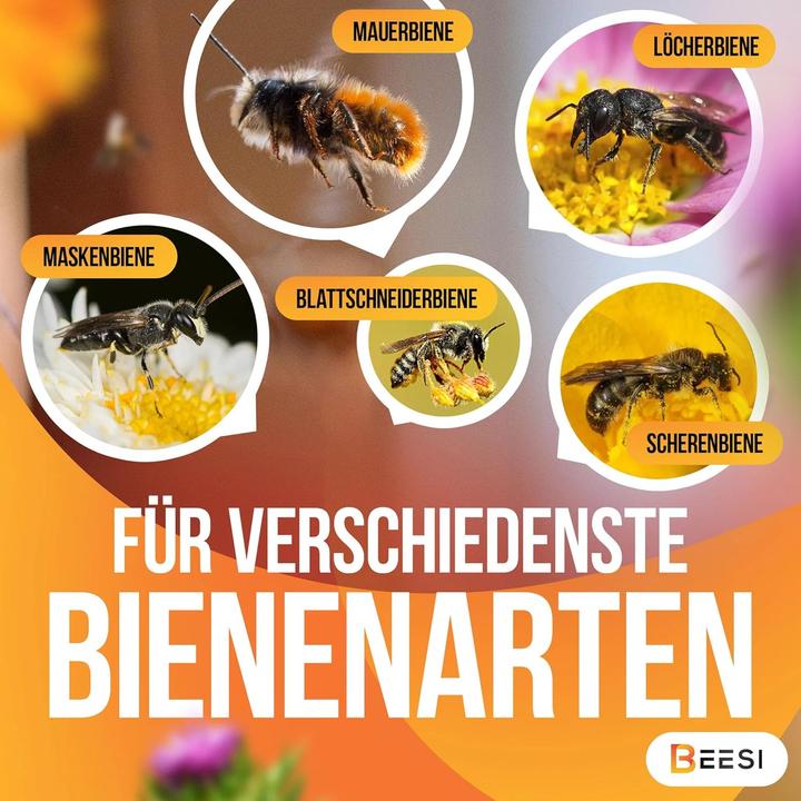 Image du produit Beesi Bambusröhrchen für Insektenhotel (Abeille, Abeilles sauvages)