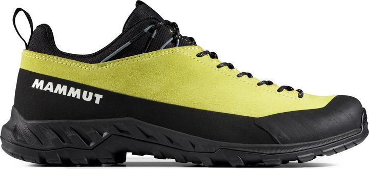 Produktbild Mammut Alnasca IV Low LTH Men (40)