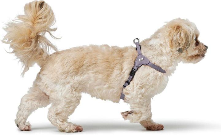 Actual product image Hunter Hundegeschirr SOHO MINI Lila XS/S (S, XS, Dog, Walks)