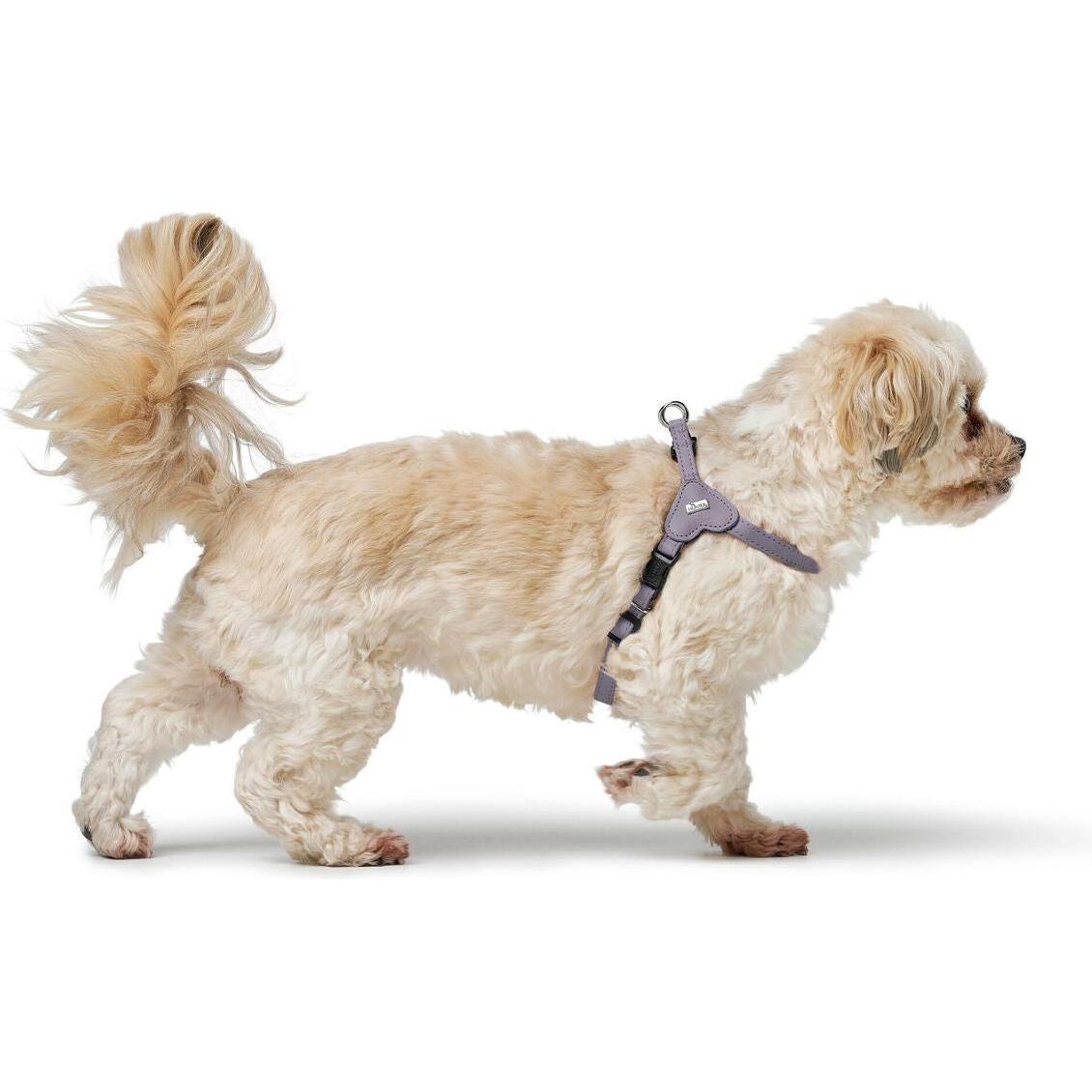 Harnais pour Chien Hunter SOHO MINI Lila