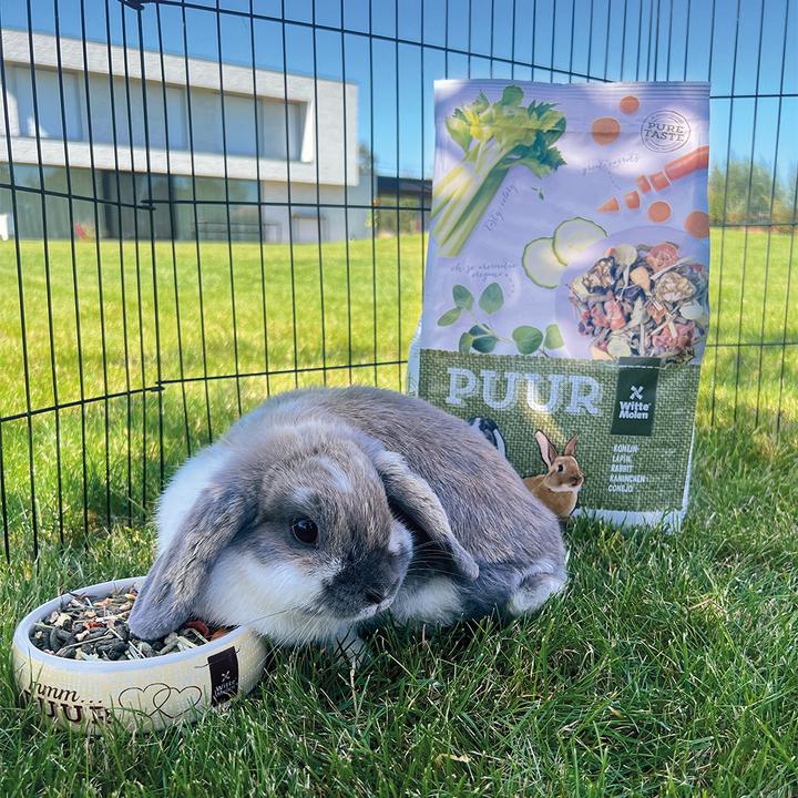 Image du produit Witte Molen Aliment de base Puur Gourmet Muesli pour lapins (0.62 kg, 1 x)