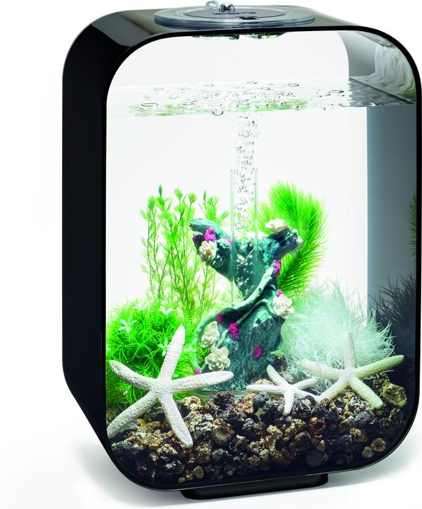 Immagine prodotto Oase biOrb Aquarium 15 Set di Decori (Decorazione, Piante)