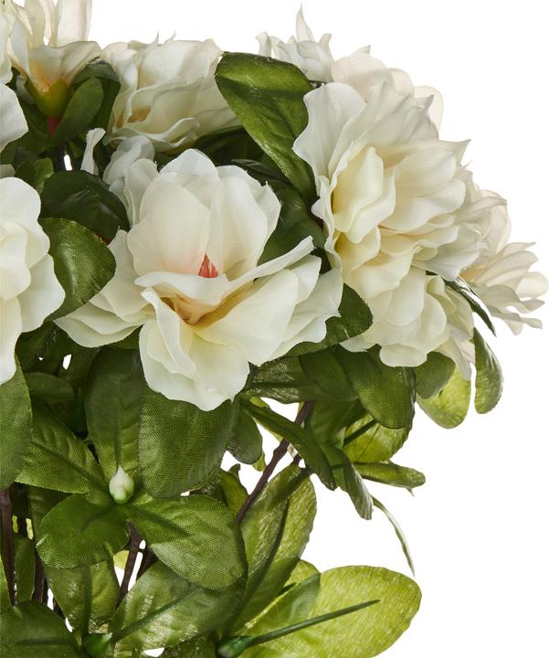 Immagine prodotto Beliani Novella (36 cm)