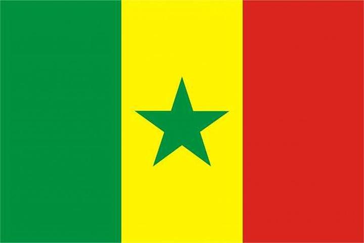 trends4cents Drapeau XXL Sénégal 250 x 150 cm